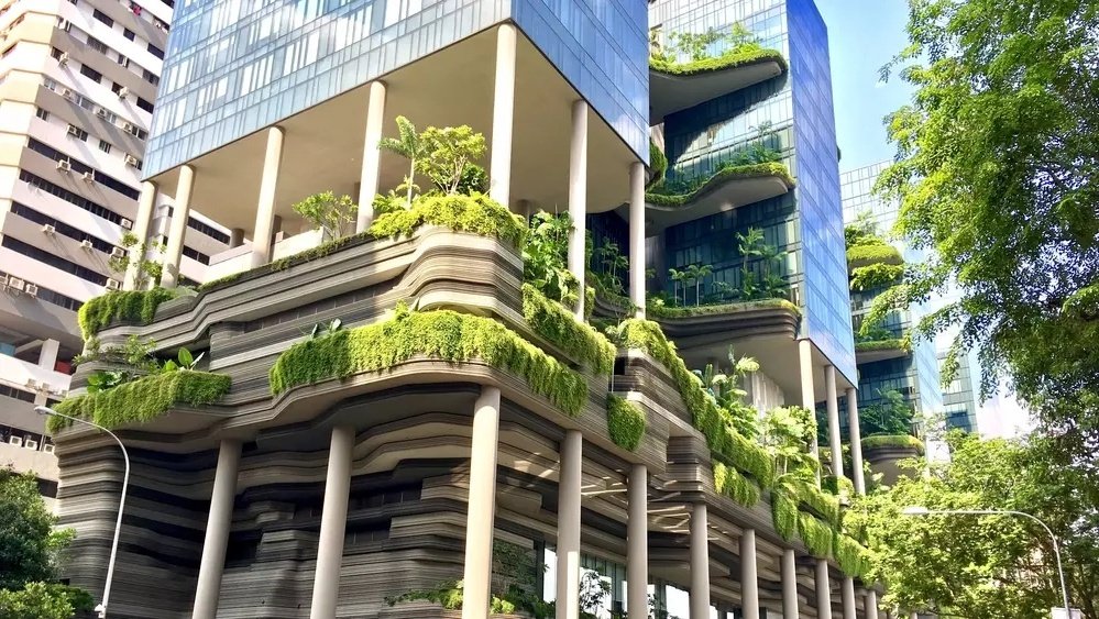Sustainability Background